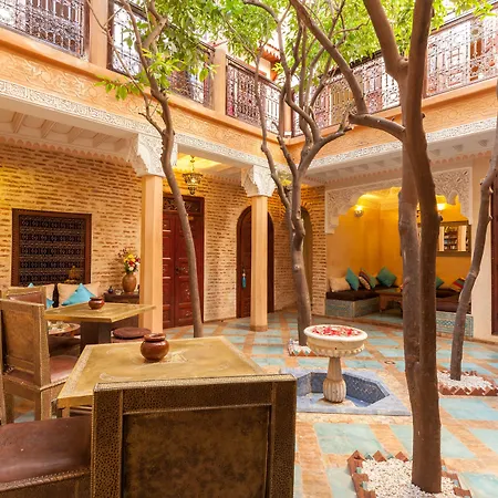 Riad Louaya-2